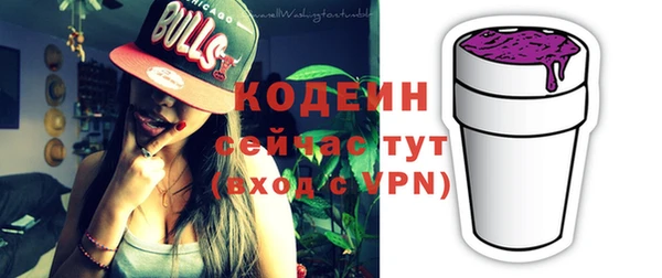 молекула духа Лабытнанги