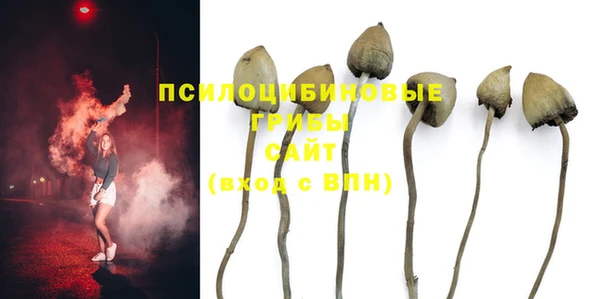 мдма Лагань