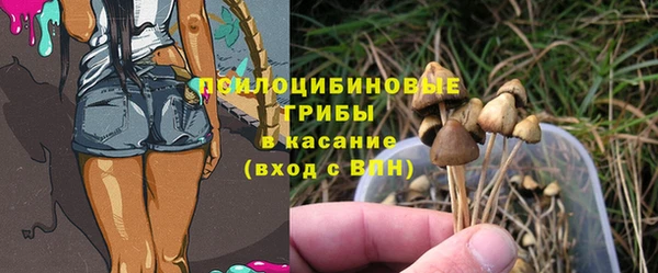 молекула духа Лабытнанги