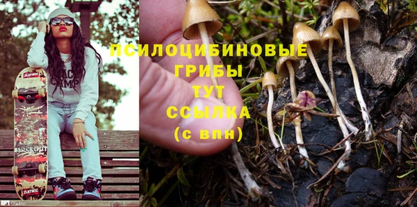 молекула духа Лабытнанги