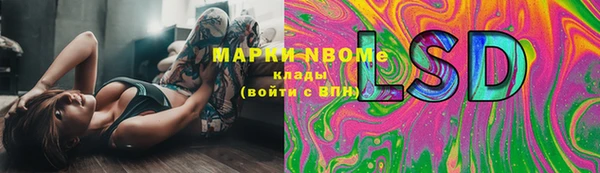 молекула духа Лабытнанги