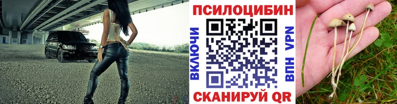 где продают Шарья Псилоцибиновые грибы ЛСД